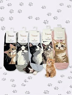 Nohy WiK Xintao 3502 wz.37 35-42