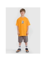 Chlapecké tričko s potiskem 4F 4FJRSS25TTSHM2641-70S