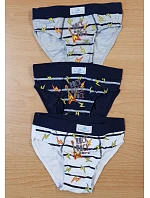 Dětské slipy model 22065921 - Gasolineblu