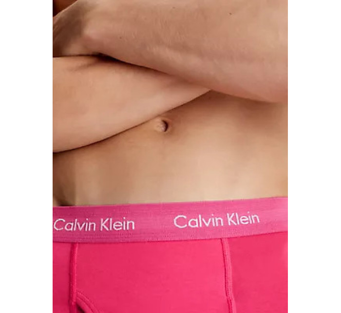 Pánské spodní prádlo TRUNK 3PK 000NB2615ANLT - Calvin Klein