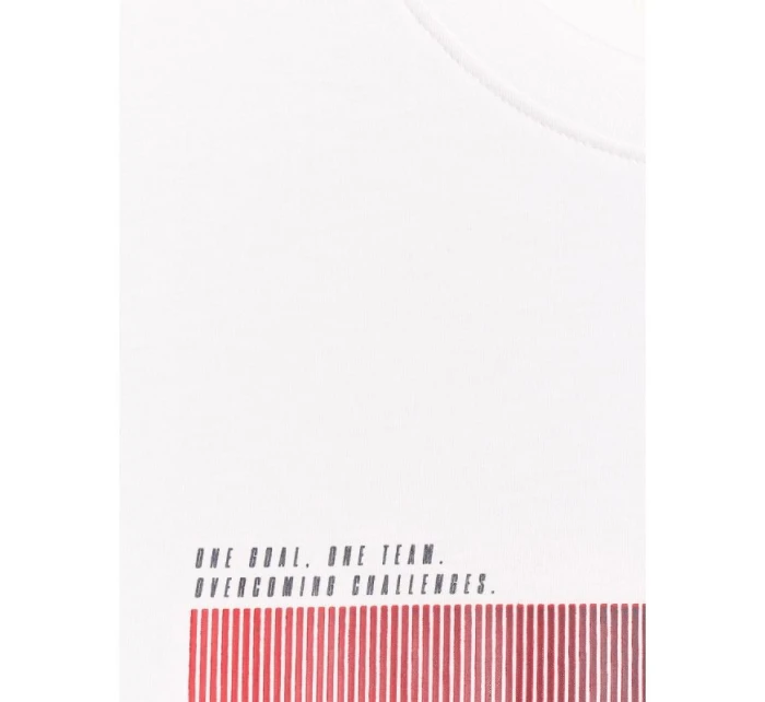 Pánské tričko s potiskem 4F 4FRAW25TTSHM3224-10S Pánské tričko s potiskem 4F 4FRAW25TTSHM3224-10S