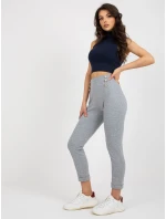 Tepláky RV DR 7731.19 šedé Tepláky RV DR 7731.19 šedé