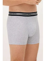 PÁNSKÉ BOXERKY 3PACK model 22044654 - Ysabel Mora