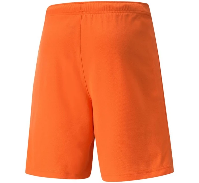 Pánské kraťasy TeamRise Short Prist M 704942 08 - Puma