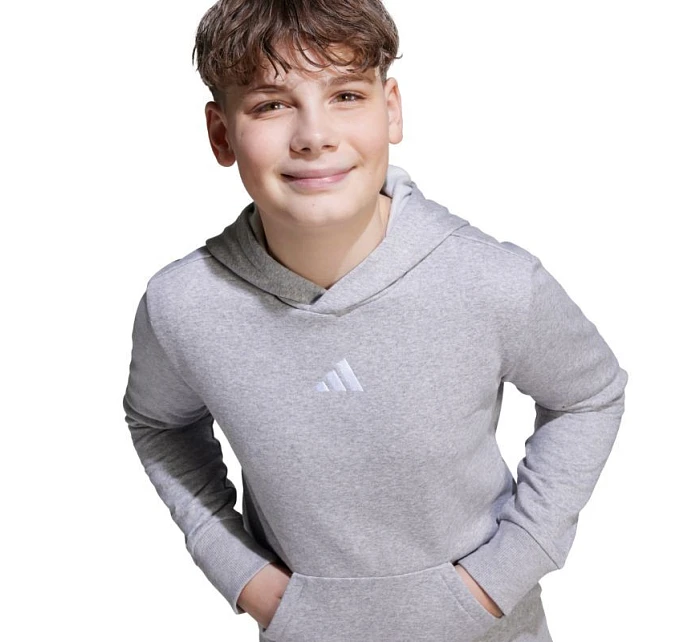 Dětská mikina Essentials Grey model 21953658 - ADIDAS