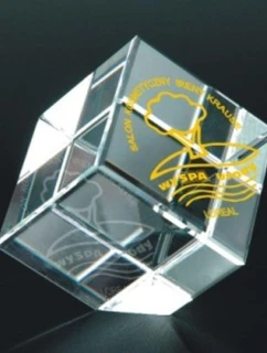 Gravírovaná skleněná trofej s pouzdrem + malířská výplň