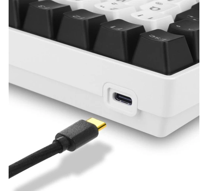 Sharkoon SKILLER SGK50 S3 USB QWERTZ herní klávesnice německá bílá Sharkoon SKILLER SGK50 S3 USB QWERTZ herní klávesnice německá bílá