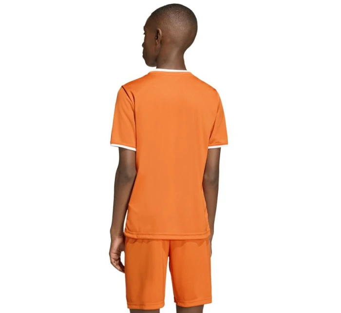 Tričko adidas Entrada 26 JSY JZ2526