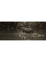 Dámská ikonická crossbody ledvinka Vuch Tricia Kaiman Black