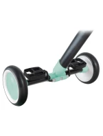 LEARNING TRIKE 2v1 (735-206)