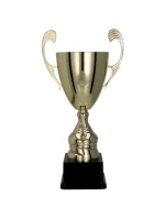 Zlatý kovový pohár model 21827602 Zlatý kovový pohár model 21827602