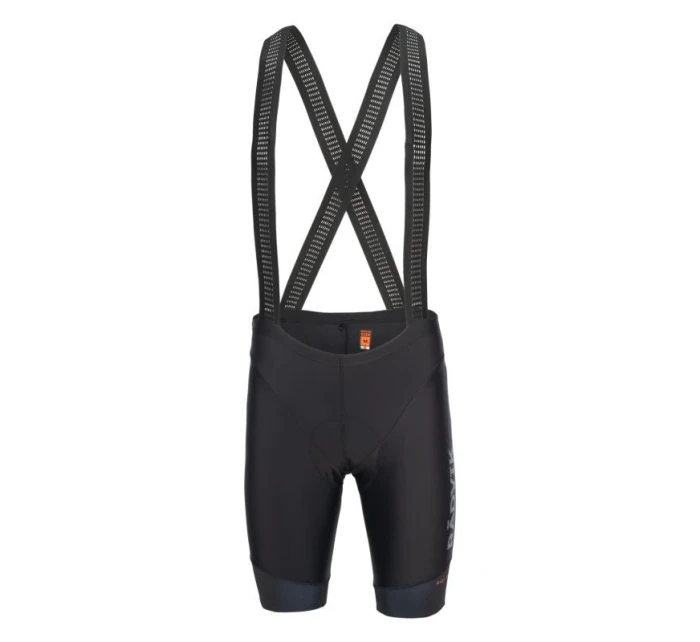 Pánské šortky model 21341994 GTS II - Radvik