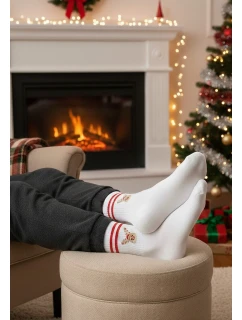Pánské vánoční ponožky model 21327636 4146 - Steven