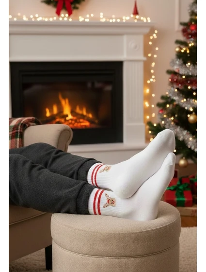 Pánské vánoční ponožky model 21327636 4146 - Steven