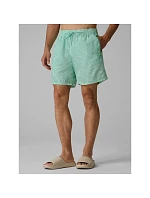 Pánské plážové šortky typu boardshorts model 22279616 - 4F