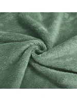 župan Tampa olivová