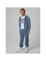 Chlapecké tepláky joggers model 22135757 dětské - 4F