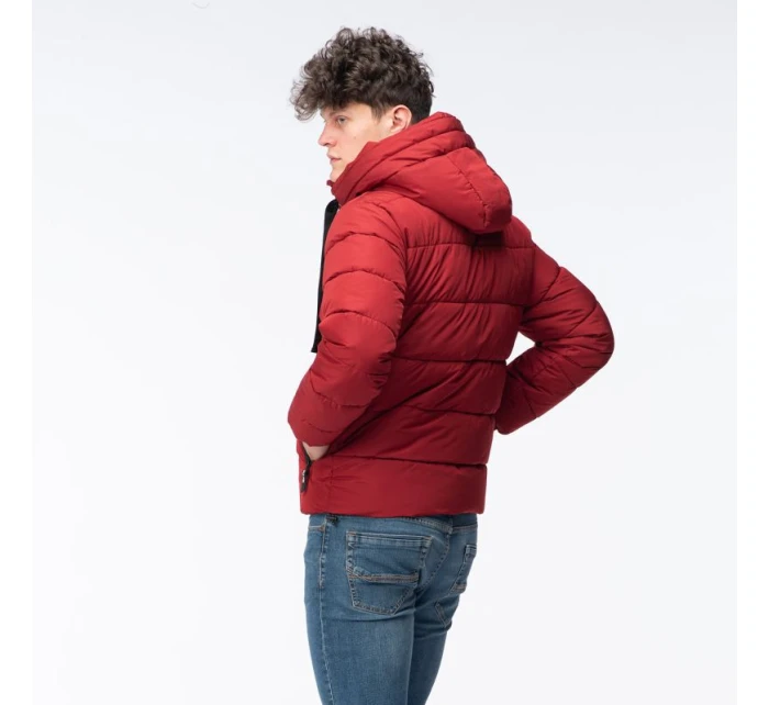 Pánský prošívaný zimní kabát model 21417557 - Iguana