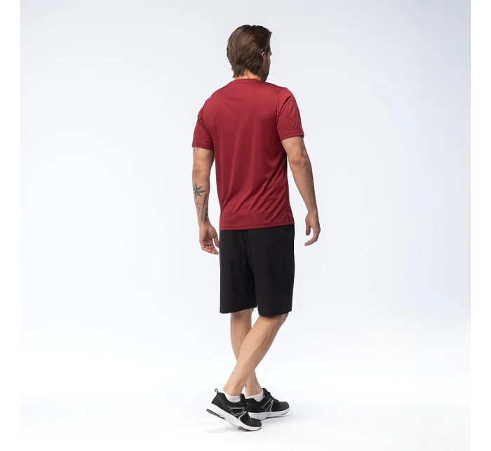 Pánské tričko model 22060408 s krátkým rukávem - Martes