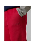 Chlapecké tepláky 4F 4FJRSS26TTROM1824-62S dětské