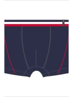 Pánské boxerky model 21284563 BAMBUS - Redo Pánské boxerky model 21284563 BAMBUS - Redo