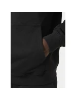 Core Graphic Sweat Hoodie M model 20246960 - Helly Hansen Core Graphic Sweat Hoodie M model 20246960 - Helly Hansen