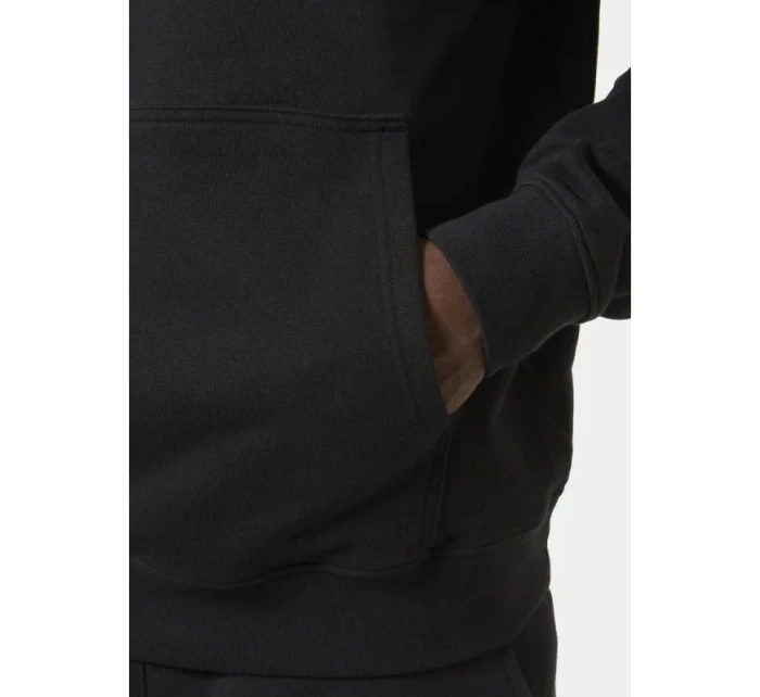 Core Graphic Sweat Hoodie M model 20246960 - Helly Hansen Core Graphic Sweat Hoodie M model 20246960 - Helly Hansen