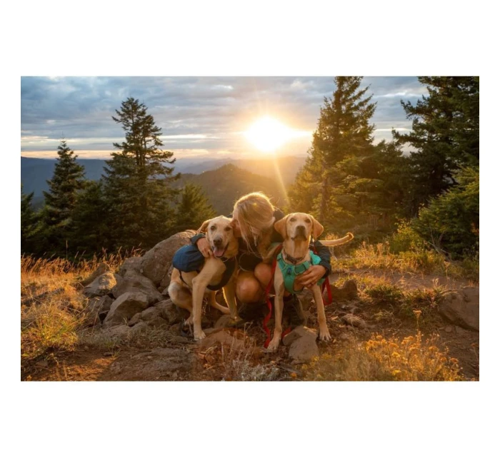 Front  Day Pack - blue model 21717244