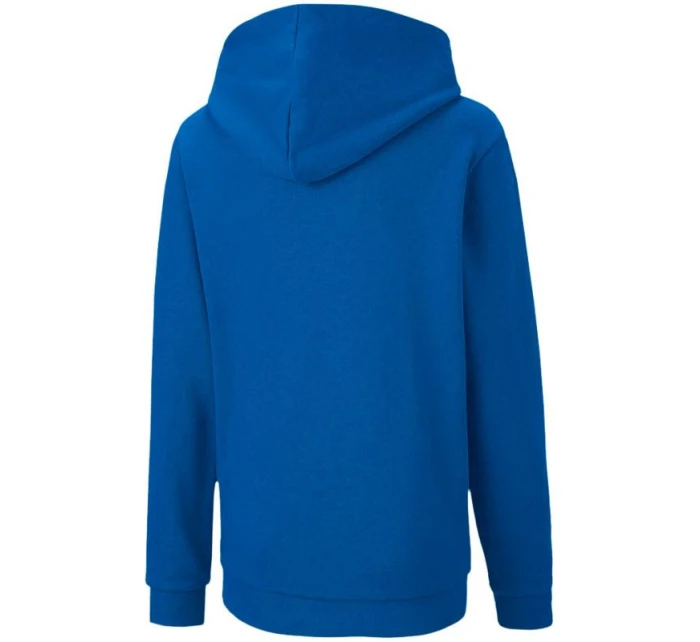 Dětská mikina TeamGOAL 23 Casuals Jr 656711 02 - Puma