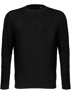 Men Pánský svetr deep black model 22500641 - NEOBLU