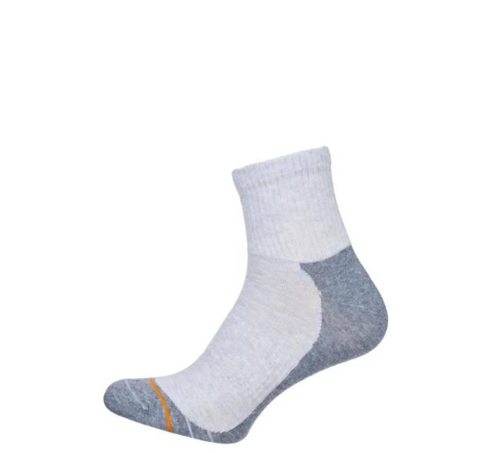 Pánské ponožky ACTIVE 0224.008 Pánské ponožky ACTIVE 0224.008