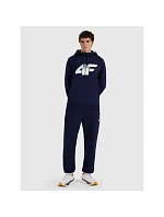 Pánské tepláky typu jogger 4F model 22088399 - Hikvision