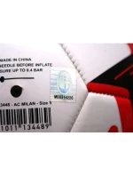 AC Milan fotbal 134489