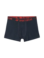Chlapecké boxerky  3ks vícebarevné JWAW25UBXS 90S model 21343669 - 4F