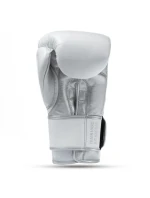 Boxerské rukavice z přírodní kůže s výplní Legacy Series | DBX model 21754423 - DBX Bushido Boxerské rukavice z přírodní kůže s výplní Legacy Series | DBX model 21754423 - DBX Bushido