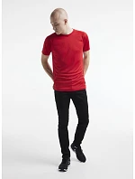Craft Corporate CORE Unify Training Tee M Pánské sportovní tričko 81.9878 leaf Craft Corporate CORE Unify Training Tee M Pánské sportovní tričko 81.9878 leaf