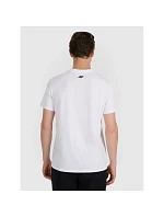 Pánské tričko 4F 4FRAW25TTSHM3258-10S