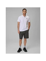 Pánské polo tričko s střihem model 22541586 - 4F