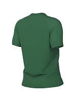 Nike Dri-Fit Park VIII dámské tričko zelené HV8178 302