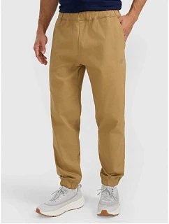 Pánské tepláky typu jogger model 22073485 - 4F