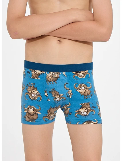 Boxerky Young Boy Bulls 2 model 22281708 - Cornette Boxerky Young Boy Bulls 2 model 22281708 - Cornette