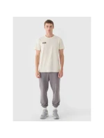 Pánské hladké tričko model 21907631 - 4F