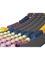 GENESIS 230 TKL Herní USB QWERTY klávesnice Modrá model 21491512 GENESIS 230 TKL Herní USB QWERTY klávesnice Modrá model 21491512