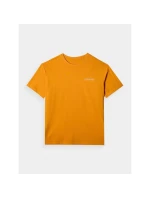 Pánské tričko oversize s potiskem 4F 4FRAW24TTSHM2578-70S