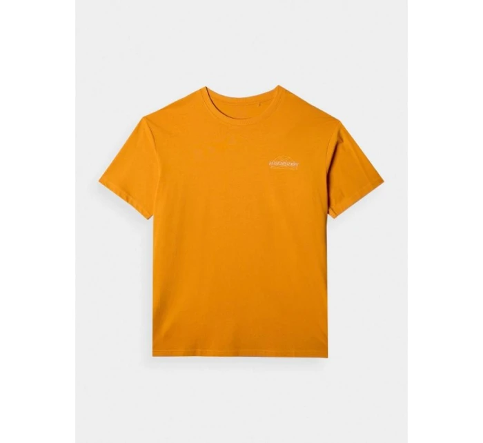 Pánské tričko oversize s potiskem 4F 4FRAW24TTSHM2578-70S