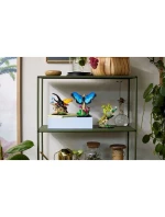 LEGO Ideas 21342 Sbírka hmyzu