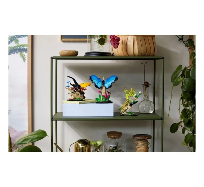 LEGO Ideas 21342 Sbírka hmyzu