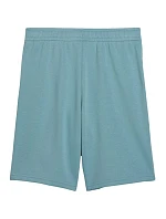 Dětské šortky Puma ESS Small No.1 Logo, modré, 692974, velikost 47 Dětské šortky Puma ESS Small No.1 Logo, modré, 692974, velikost 47