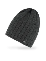 Pánská čepice AJS 50-280