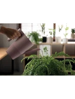 DO ZIELONA dětské model 21831894 DO ZIELONA dětské model 21831894